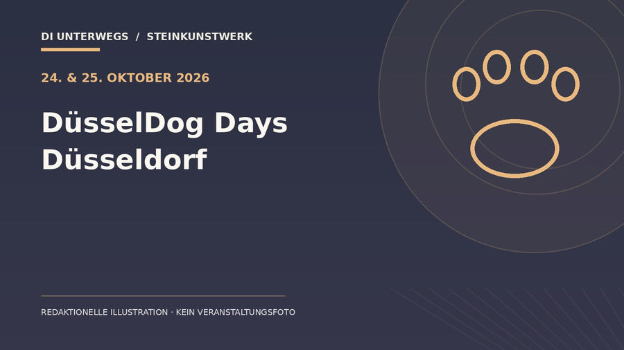Redaktionelle Illustration zu „DüsselDog Days Düsseldorf 2026“ – kein Foto der Veranstaltung