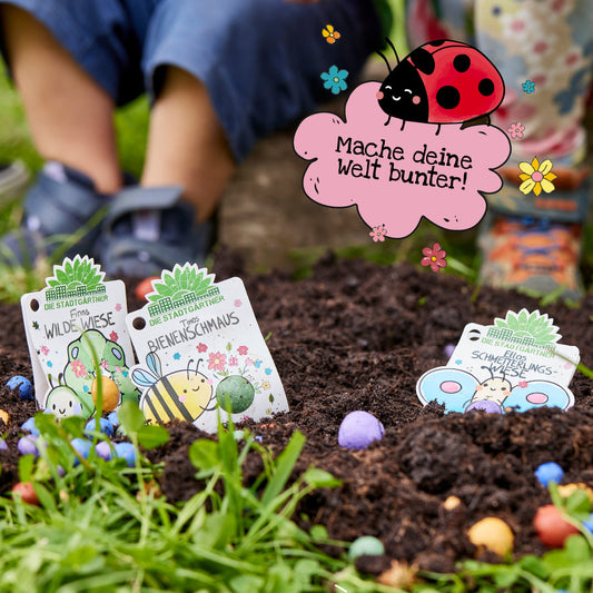 3 Blumenmurmeln – bunte Saatkugeln mit Wildblumen – Verpackung und Set-Übersicht