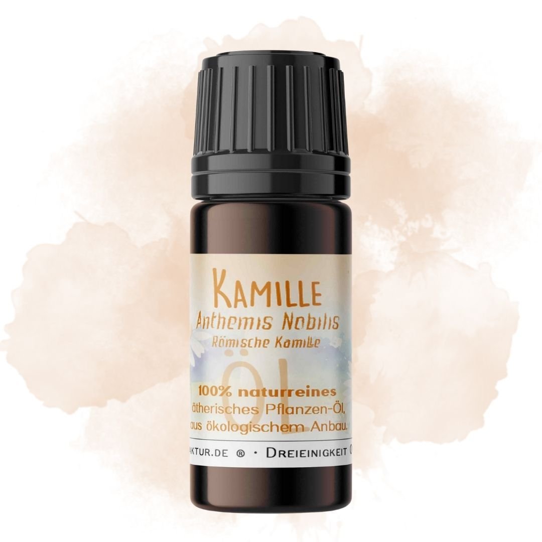 Römische Kamille ätherisches Öl – weitere Produktansicht 2
