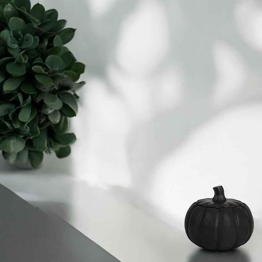 Erntedank und Herbstmärkte in NRW 2026 – Kürbisdeko und herbstliche Marktinspiration
