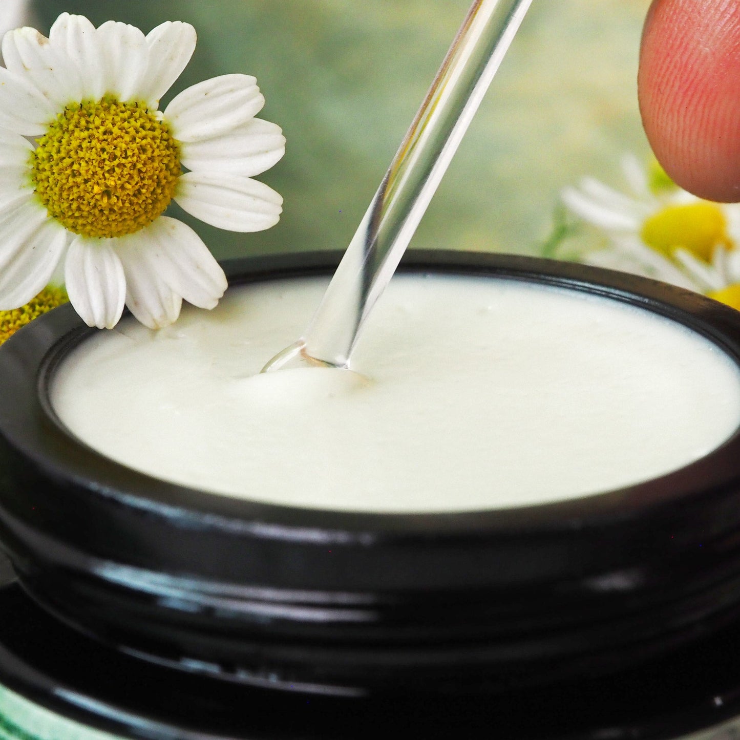 Kamillen-Hamamelis Creme – vegane Gesichtspflege