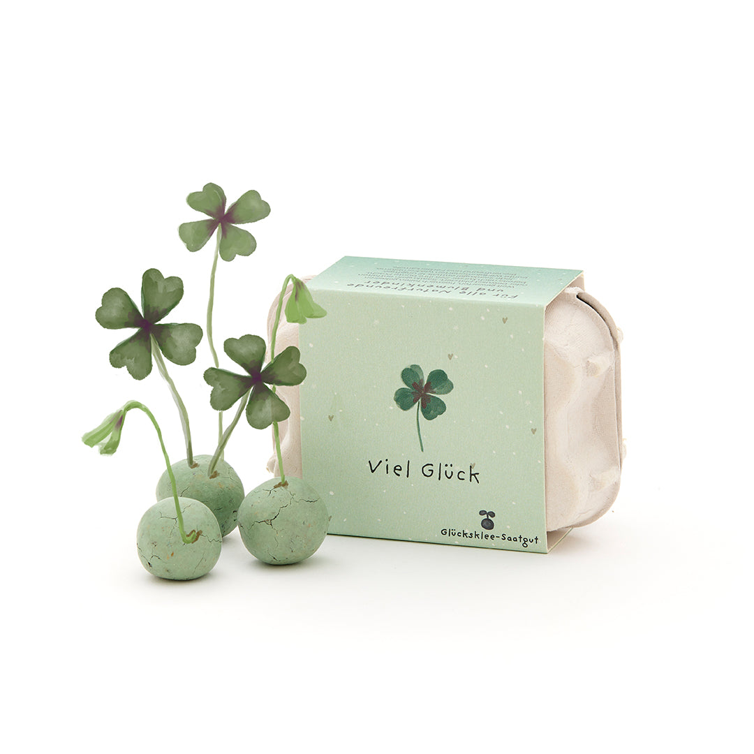 6 Glücksklee-Blumenmurmeln im Eierkarton „Viel Glück“