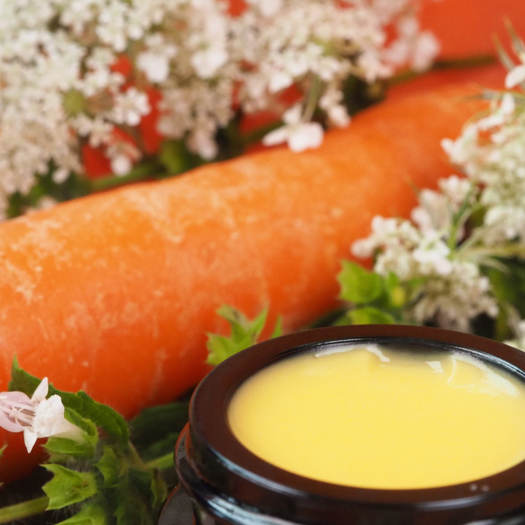 Melissen-Karotten Creme – natürliche Pflegeroutine