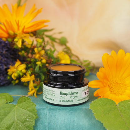 Bio-Ringelblumencreme – wasserfreie Pflanzenölpflege