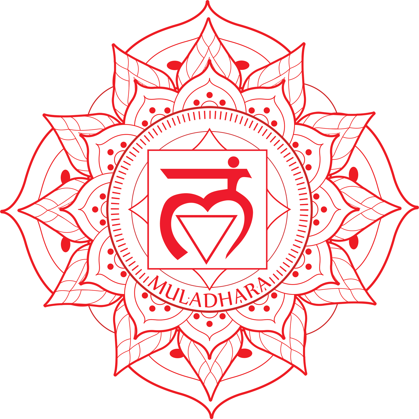 Muladhara Chakraöl – Wurzelchakra-Ritual
