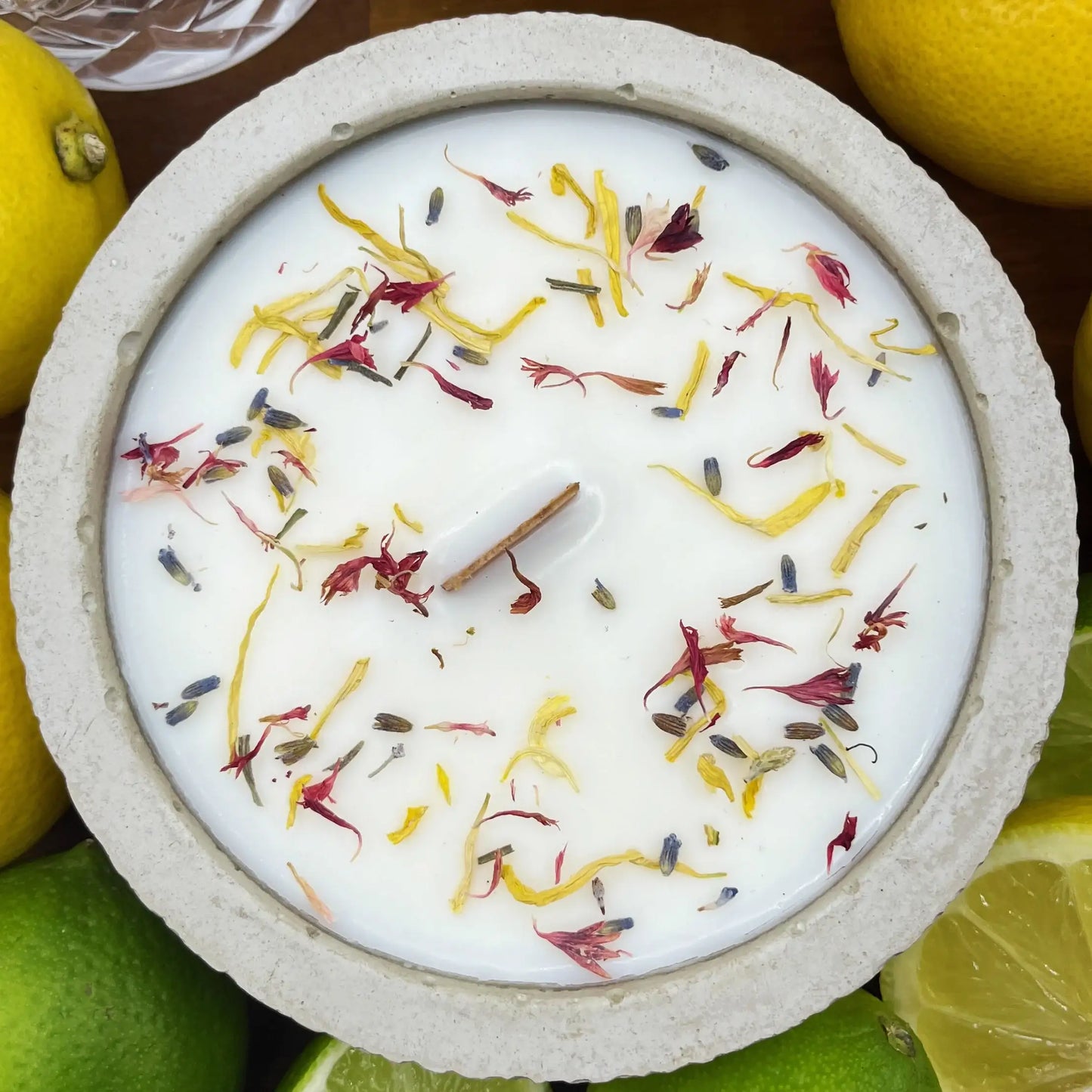Ausführungen der XL Citronella-Kerze „Der Abend“