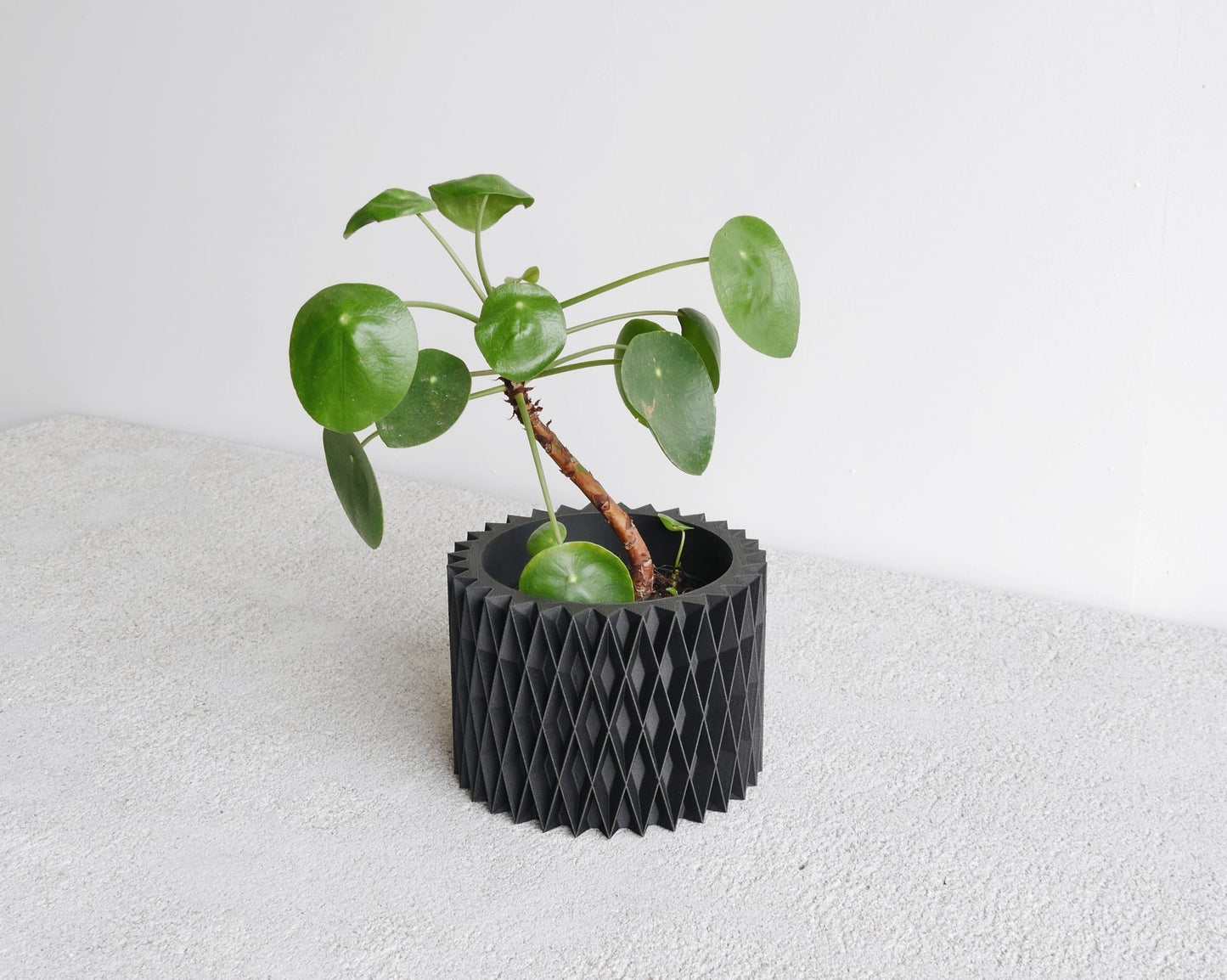 Croix Indoor-Pflanzgefäß – zusätzliche Produktansicht 3