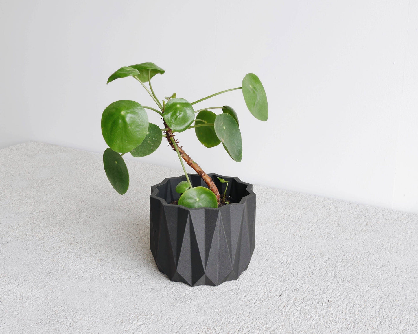 Origami Indoor-Pflanzgefäß – zusätzliche Produktansicht 4