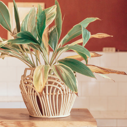 Flechtkorb RAHINA – Rattan