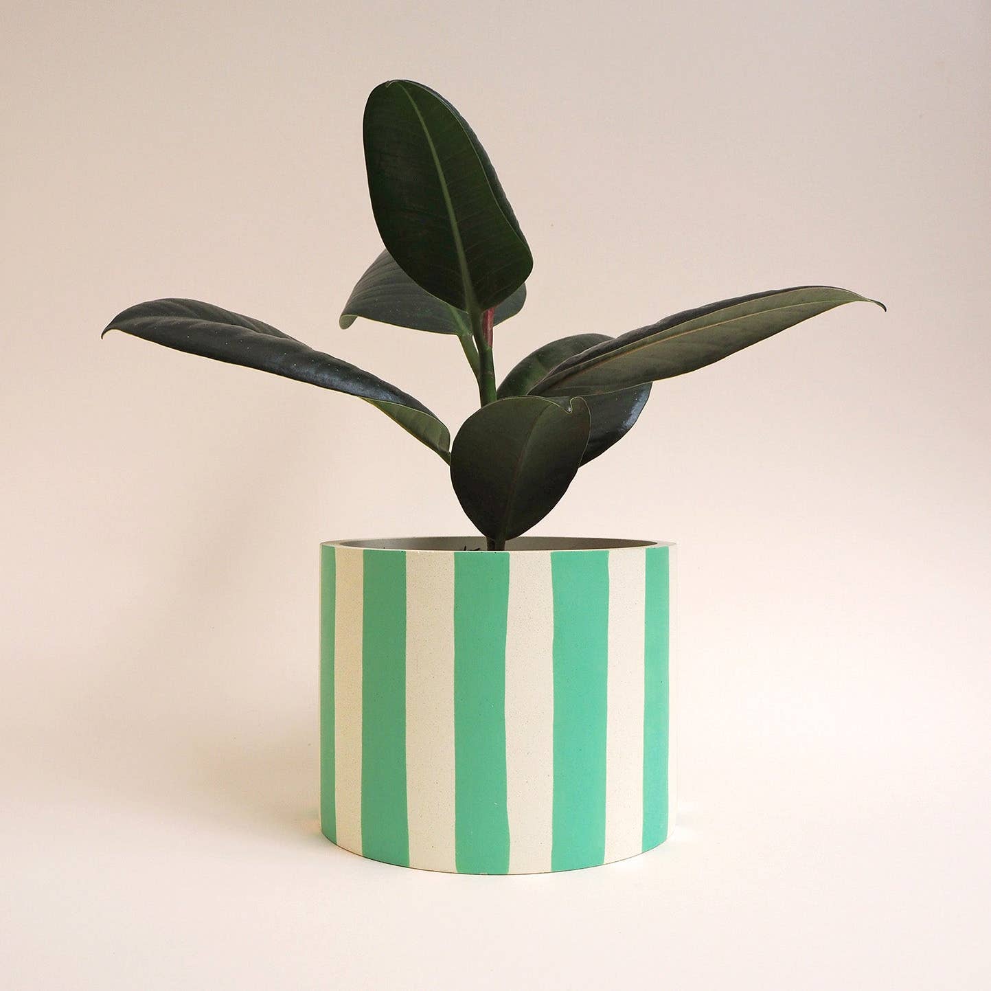 Mint Stripes handgegossenes Jesmonite-Pflanzgefäß