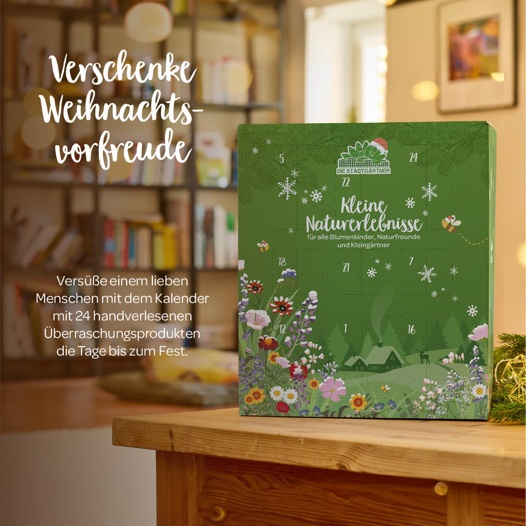 Adventskalender 2026 in weihnachtlicher Szene mit Produktinformationen