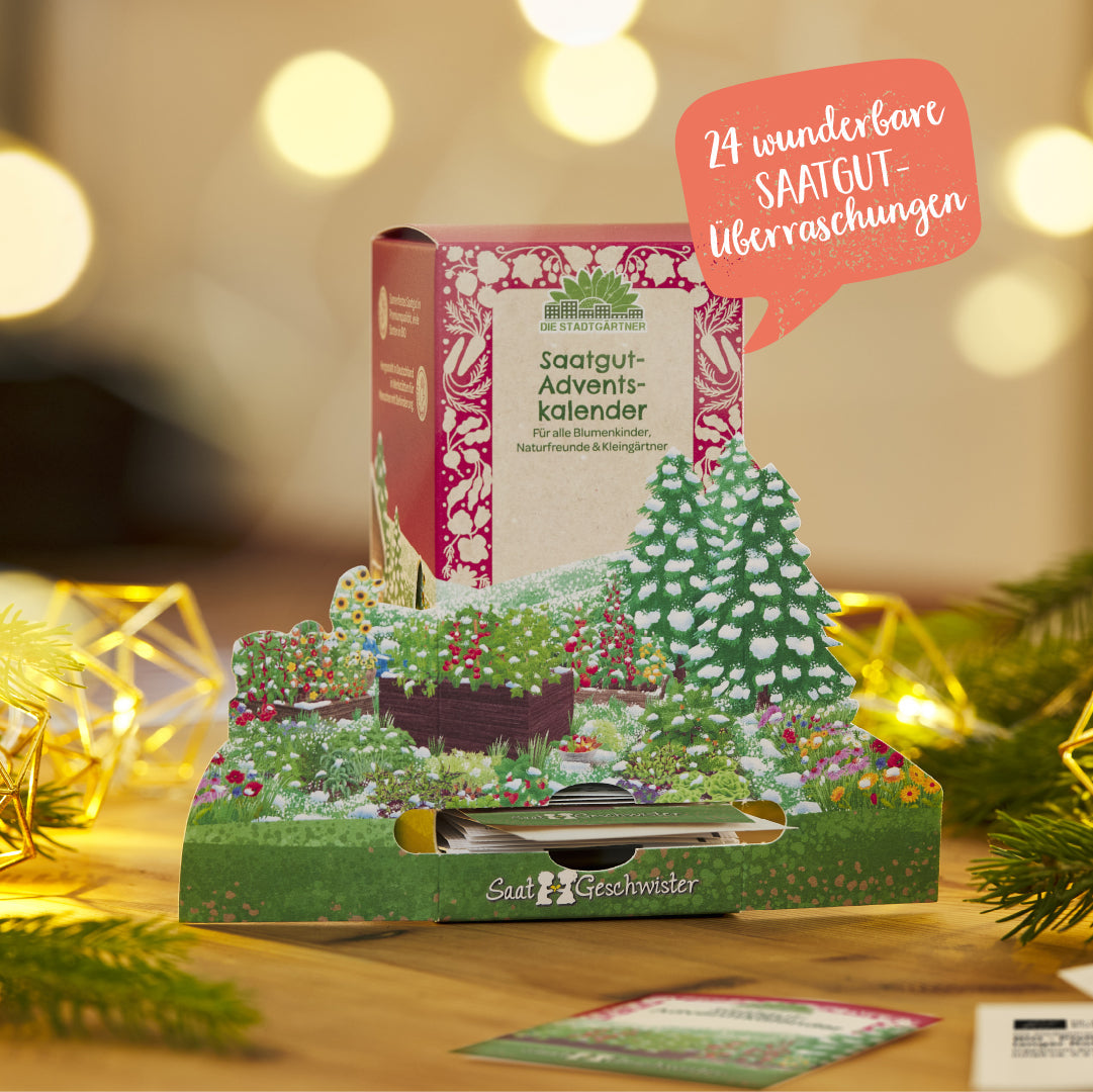 Saatgut-Adventskalender Winterlandschaft in weihnachtlicher Produktdarstellung