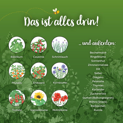 Inhalt des Saatgut-Adventskalenders Winterlandschaft mit verschiedenen Saatgutsorten