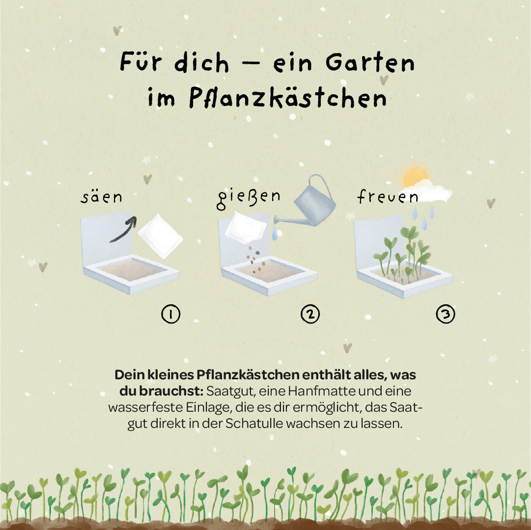 Pflanzkästchen „Viel Erfolg, Glückskind“ – Pflanzanleitung