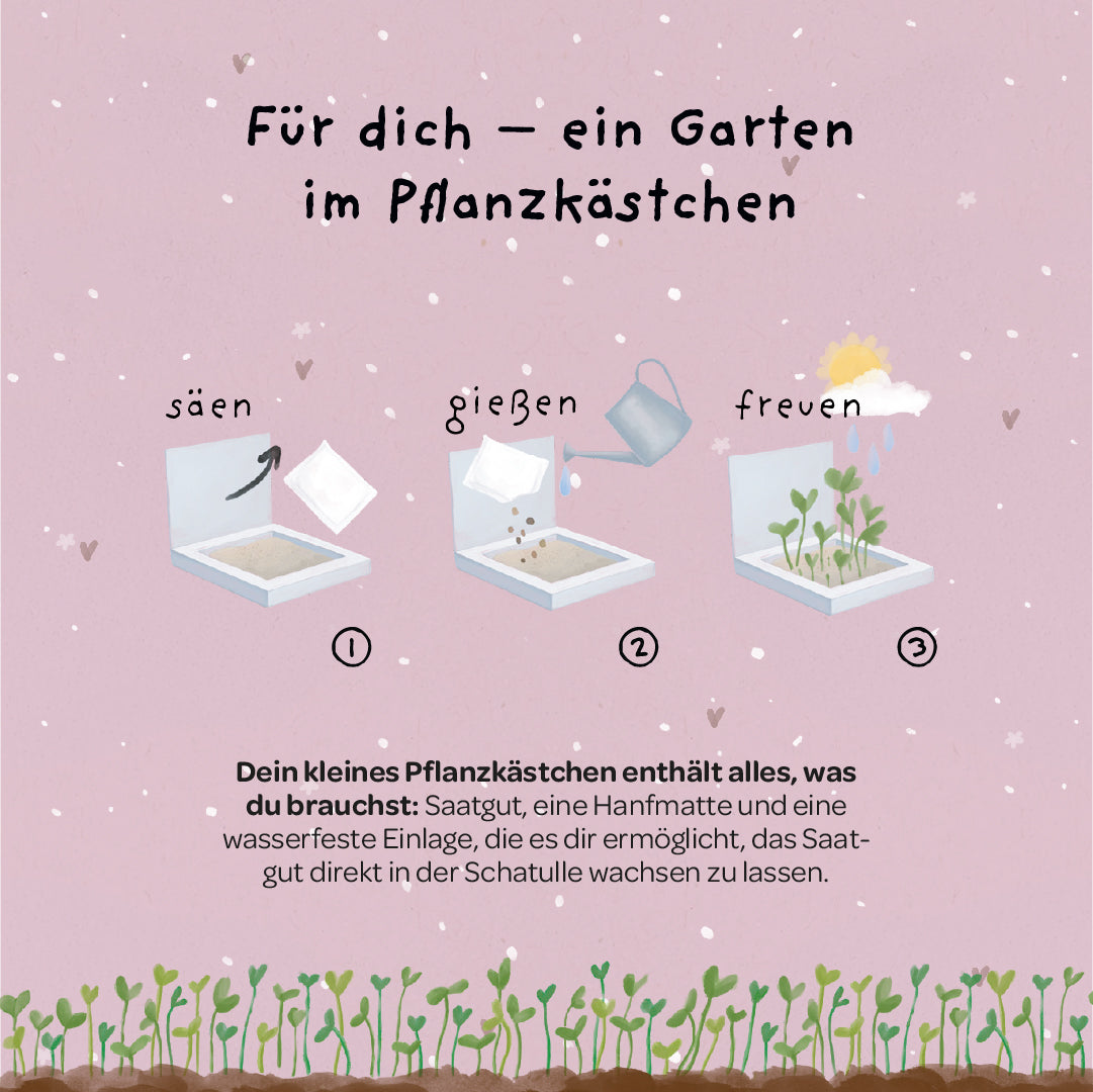 Pflanzkästchen „Danke fürs Wachsen“ – Pflanzanleitung
