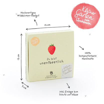 Pflanzkästchen „Unentbeerlich“ – Produktdetails