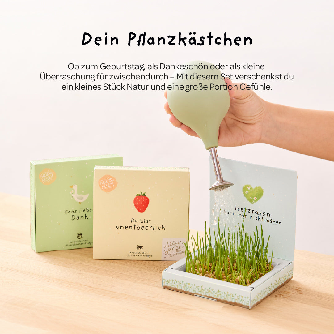 Pflanzkästchen „Unentbeerlich“ – Geschenkidee und Inhalt