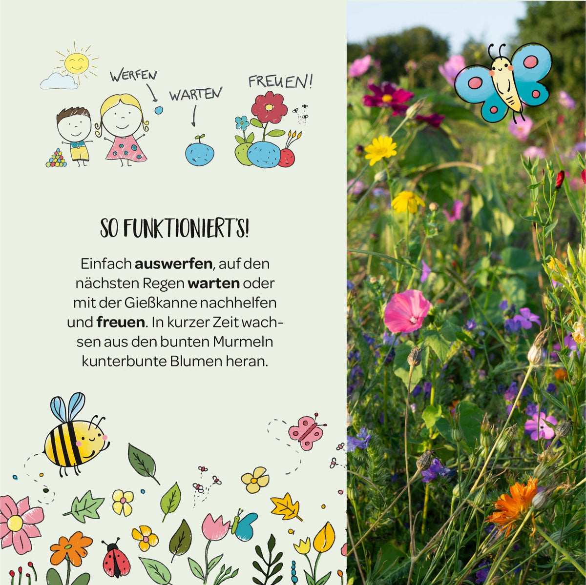 10 Frühlingsgrüße mit je 5 Wildblumen-Saatkugeln – Produktansicht