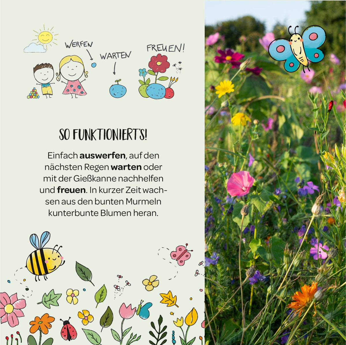 50 Blumenmurmeln „Danke“ – 10 Tütchen à 5 Saatkugeln