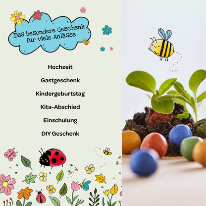 6 Osterblumen-Saatkugeln im Mini-Eierkarton – Produktansicht