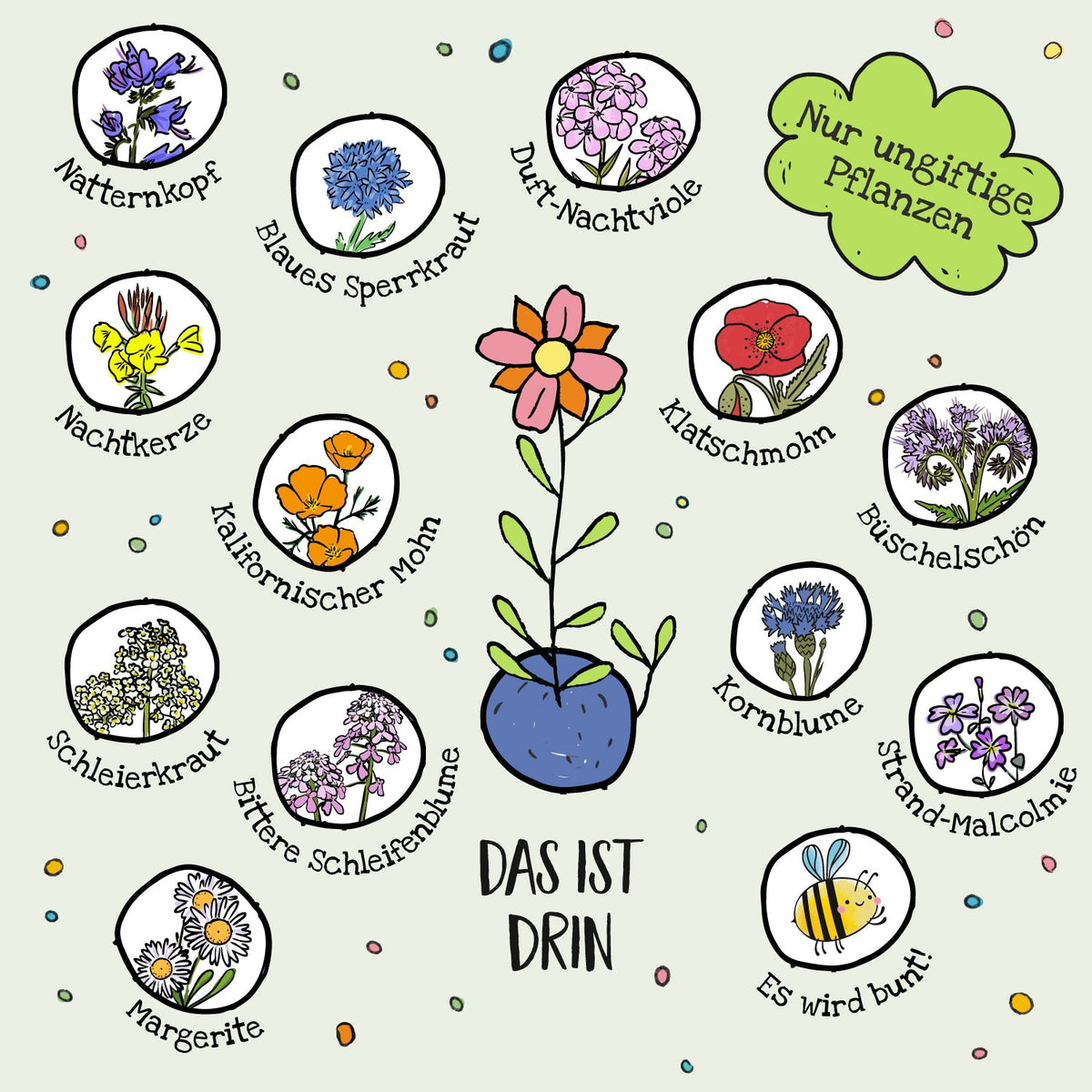 10×5 Blumenmurmeln „Frohes Fest“ – Weihnachtsmann