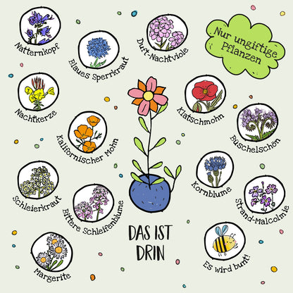 3 Blumenmurmeln – bunte Saatkugeln mit Wildblumen