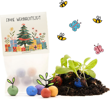 Bunte Blumenmurmeln Frohe Weihnachtszeit mit Wildblumensaatgut freigestellt