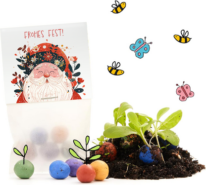 10×5 Blumenmurmeln „Frohes Fest“ – Weihnachtsmann