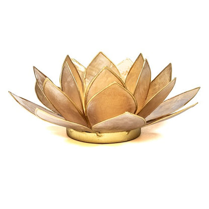 Lotus Teelicht aus Capiz – farbiger Lichtakzent für ruhige, stilvolle Räume | SteinKunstWerk