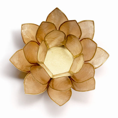 Lotus Teelicht aus Capiz – farbiger Lichtakzent für ruhige, stilvolle Räume | SteinKunstWerk