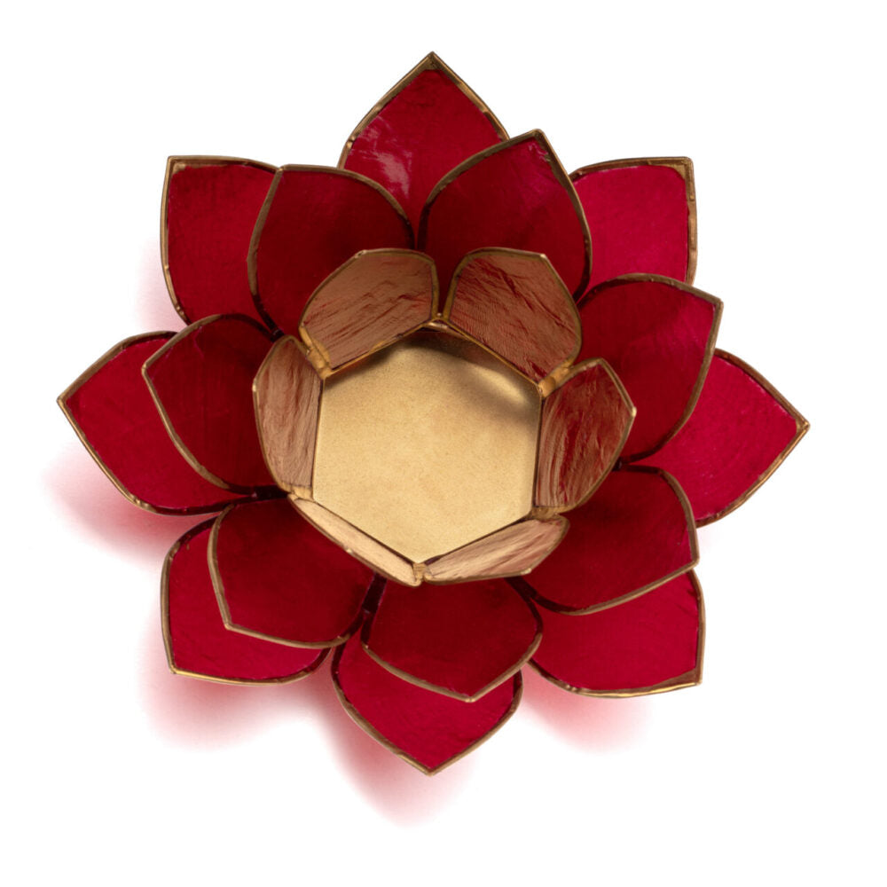 Lotus Teelicht aus Capiz – farbiger Lichtakzent für ruhige, stilvolle Räume | SteinKunstWerk