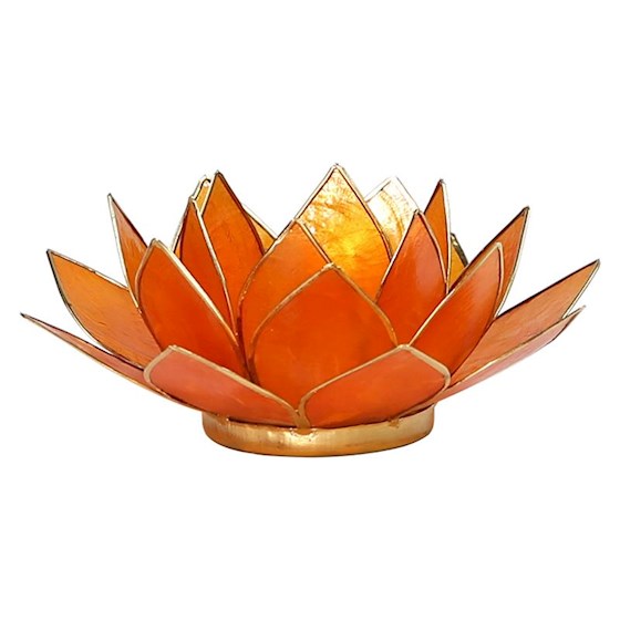 Lotus Teelicht aus Capiz – farbiger Lichtakzent für ruhige, stilvolle Räume | SteinKunstWerk