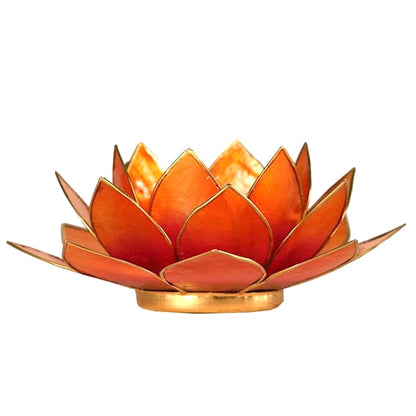 Lotus Teelicht aus Capiz – farbiger Lichtakzent für ruhige, stilvolle Räume | SteinKunstWerk