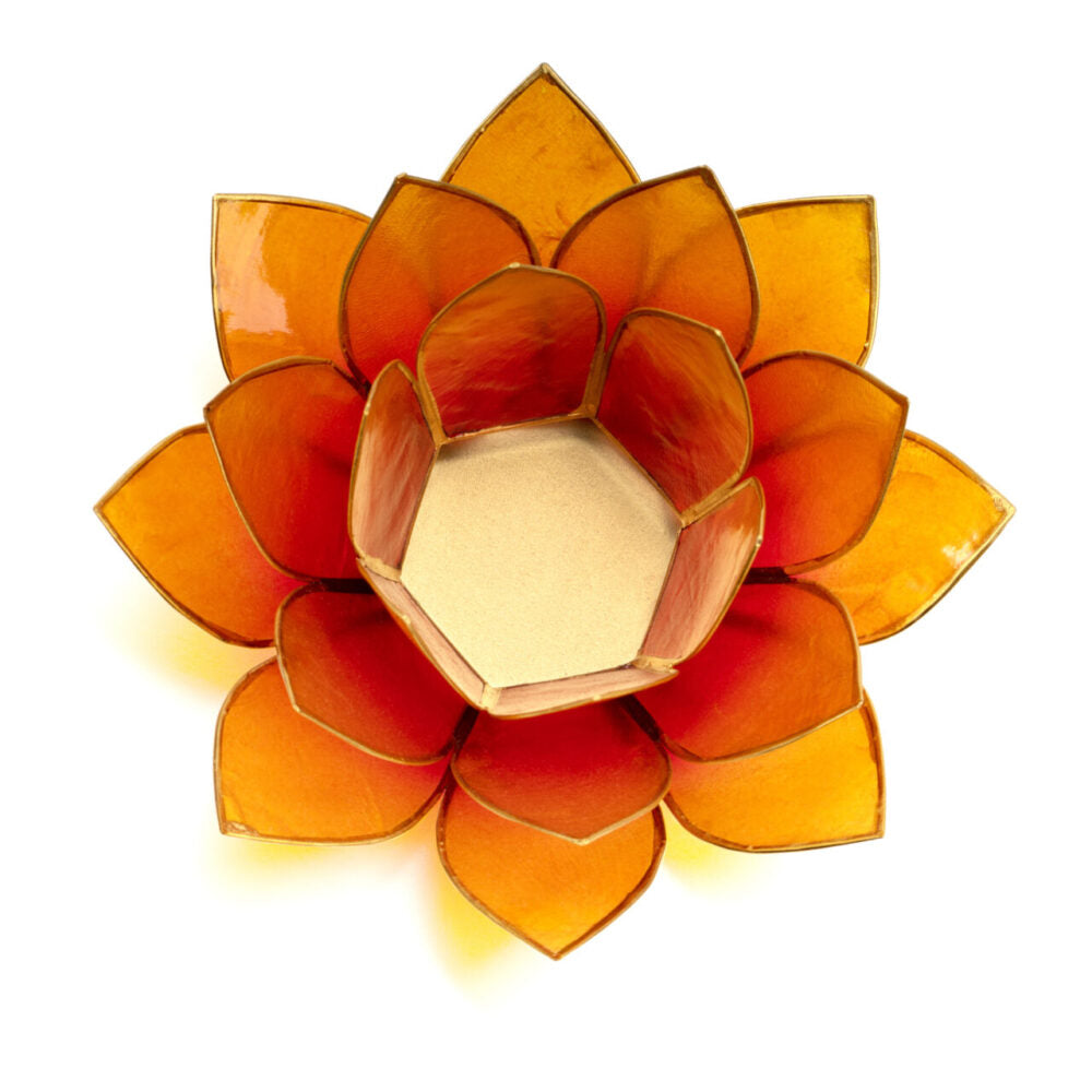 Lotus Teelicht aus Capiz – farbiger Lichtakzent für ruhige, stilvolle Räume | SteinKunstWerk