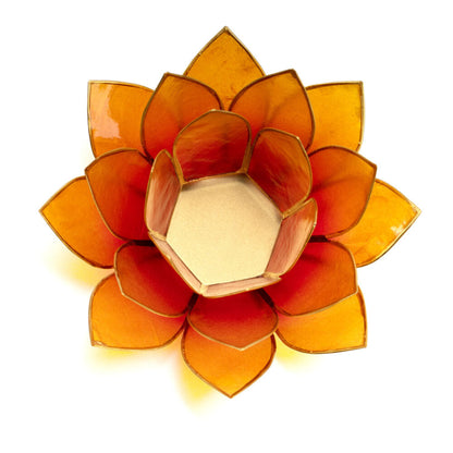 Lotus Teelicht aus Capiz – farbiger Lichtakzent für ruhige, stilvolle Räume | SteinKunstWerk