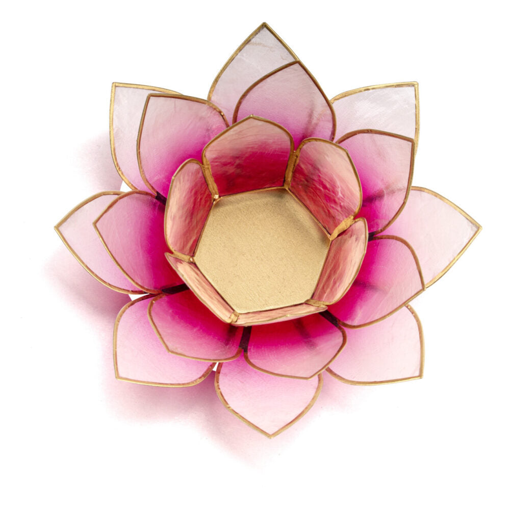 Lotus Teelicht aus Capiz – farbiger Lichtakzent für ruhige, stilvolle Räume | SteinKunstWerk