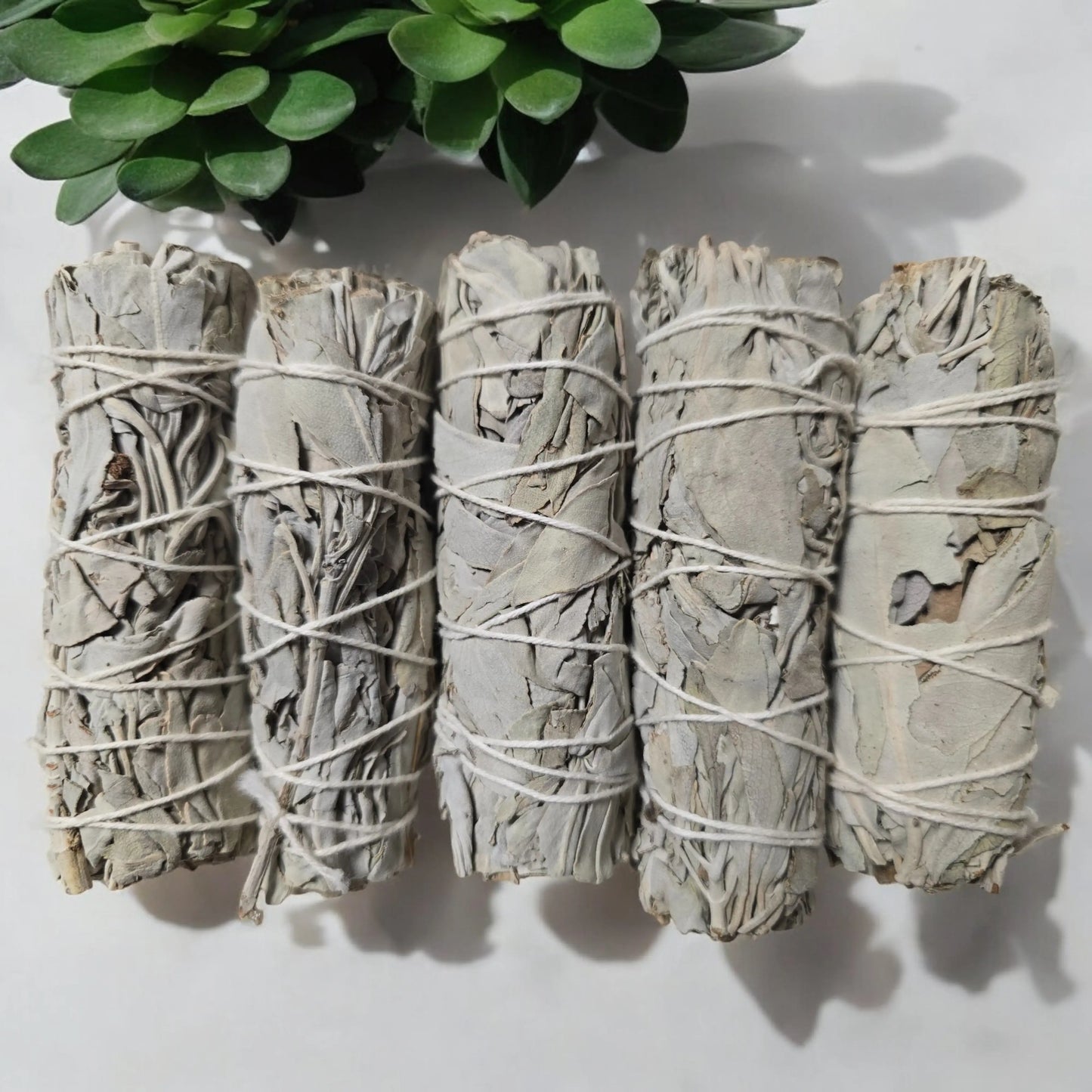 Weißer Salbei Smudge Set für Klarheit und Achtsamkeit