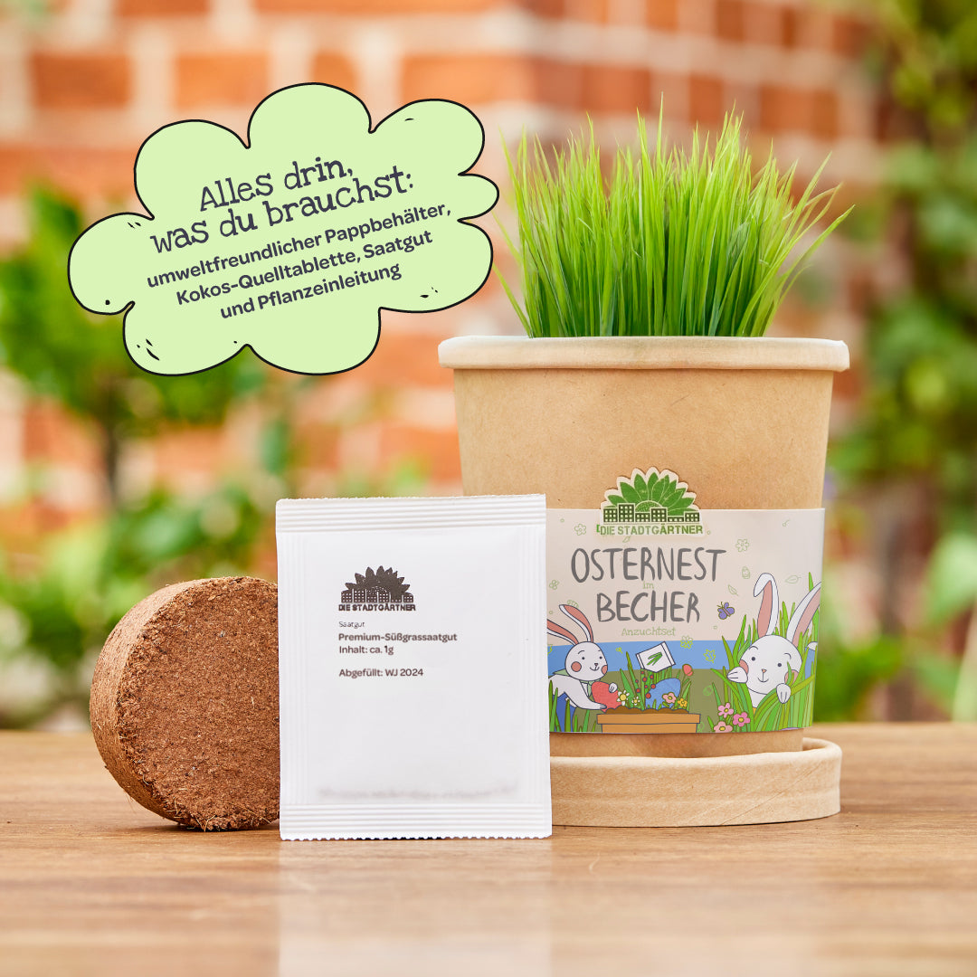 Osternest aus dem Becher – Ostergras selber ziehen – Produktansicht