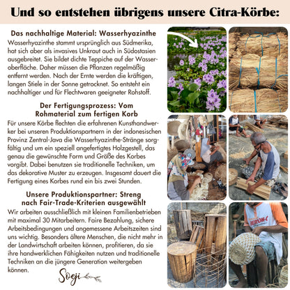 Wäschekorb CITRA – Wasserhyazinthe
