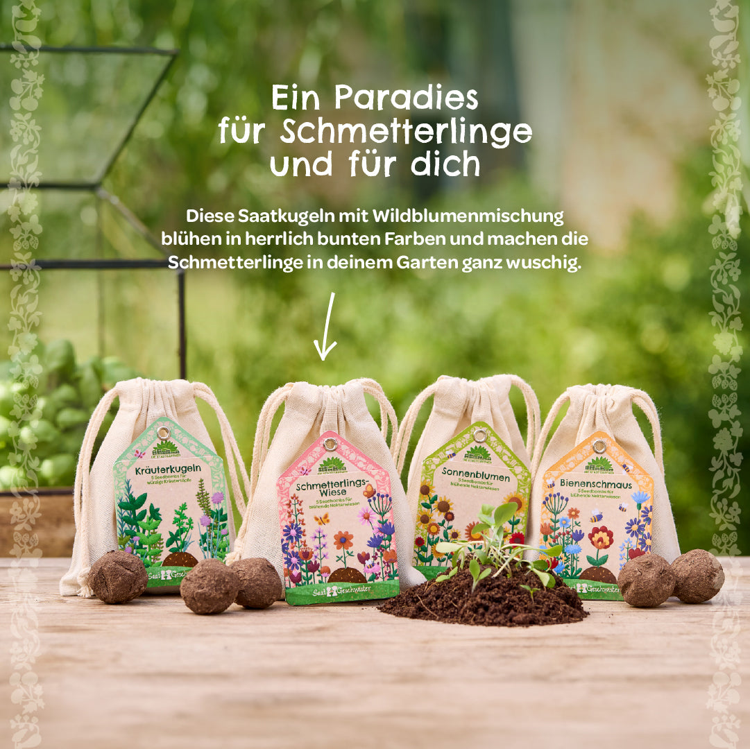 Saatkugeln „Schmetterlingswiese“ – Wildblumen für Schmetterlinge