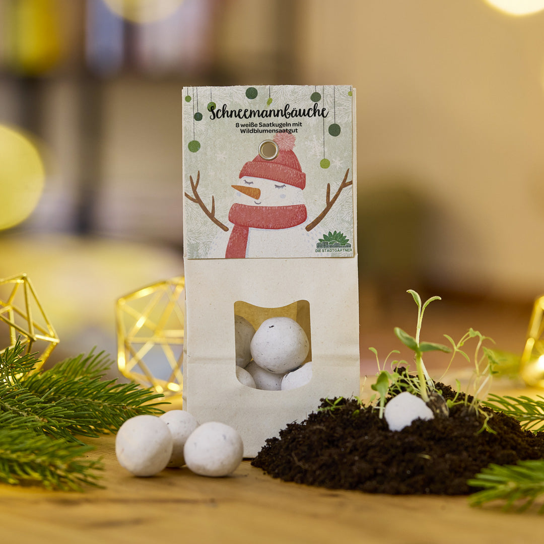 Schneemannbäuche – Weiße Blumenmurmeln zu Weihnachten