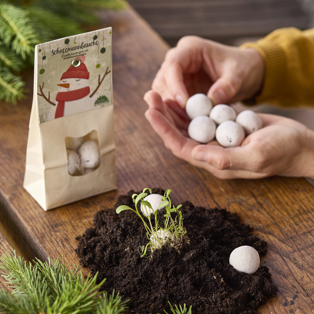 Schneemannbäuche – Weiße Blumenmurmeln zu Weihnachten