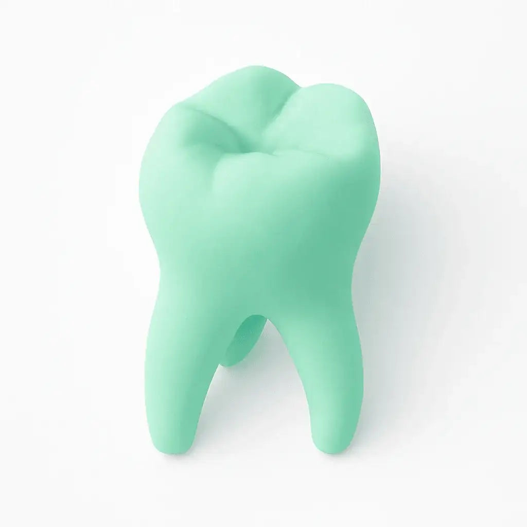 Pastelgroen tandmodel als decoratie voor moderne praktijken
