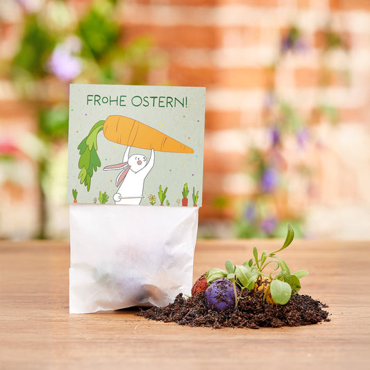 10 Ostergrüße Hase & Möhren – 50 Saatkugeln – Produktansicht
