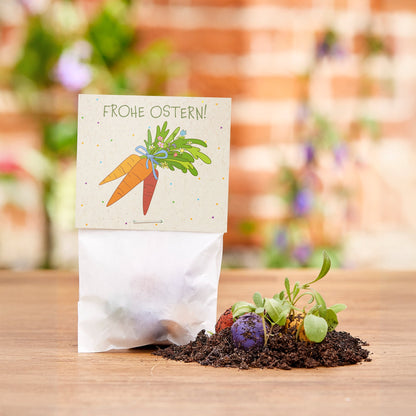 10 Oster-Tütchen „Frohe Ostern“ mit 50 Saatkugeln – Produktansicht