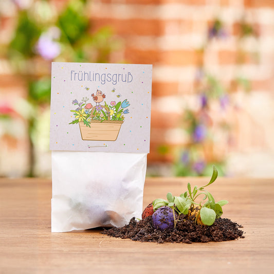 10 Frühlingsgrüße mit je 5 Wildblumen-Saatkugeln – Produktansicht