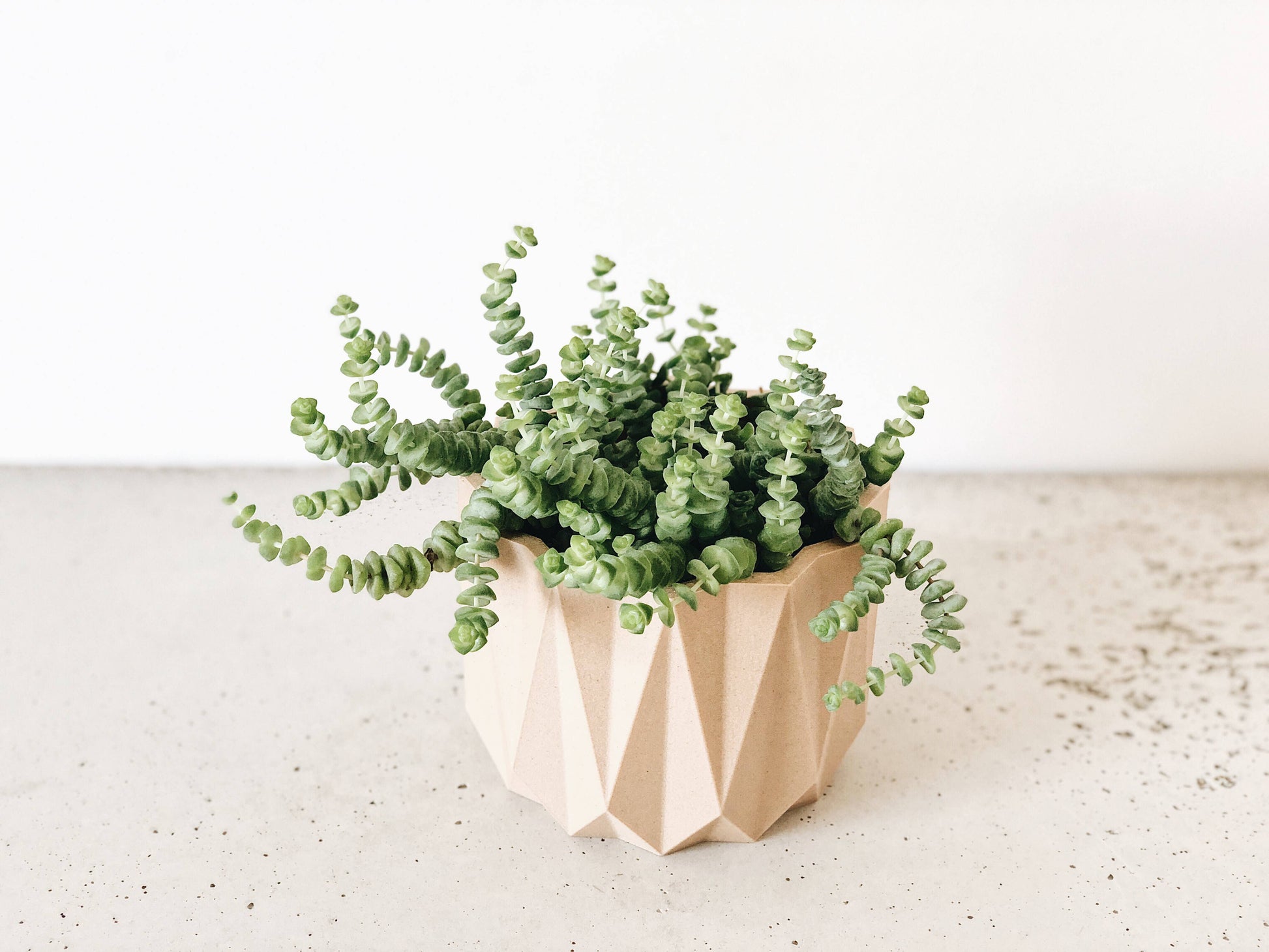 Origami Indoor-Pflanzgefäß – zusätzliche Produktansicht 2