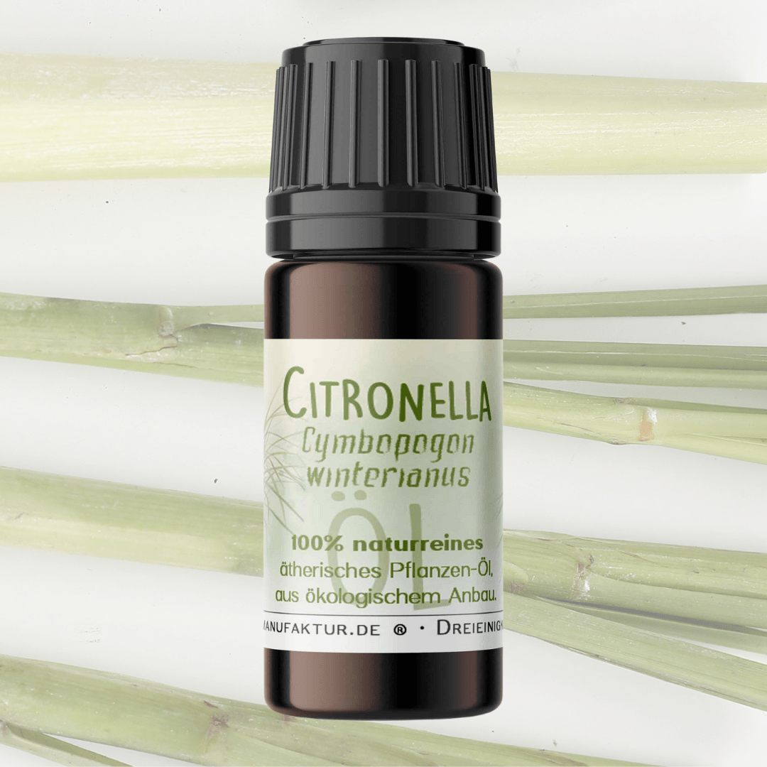 Naturreines Citronella ätherisches Öl mit zitronischem Duft