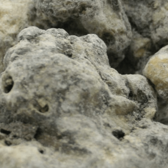 Copal Negro – dunkles Räucherharz mit würzigem Waldduft