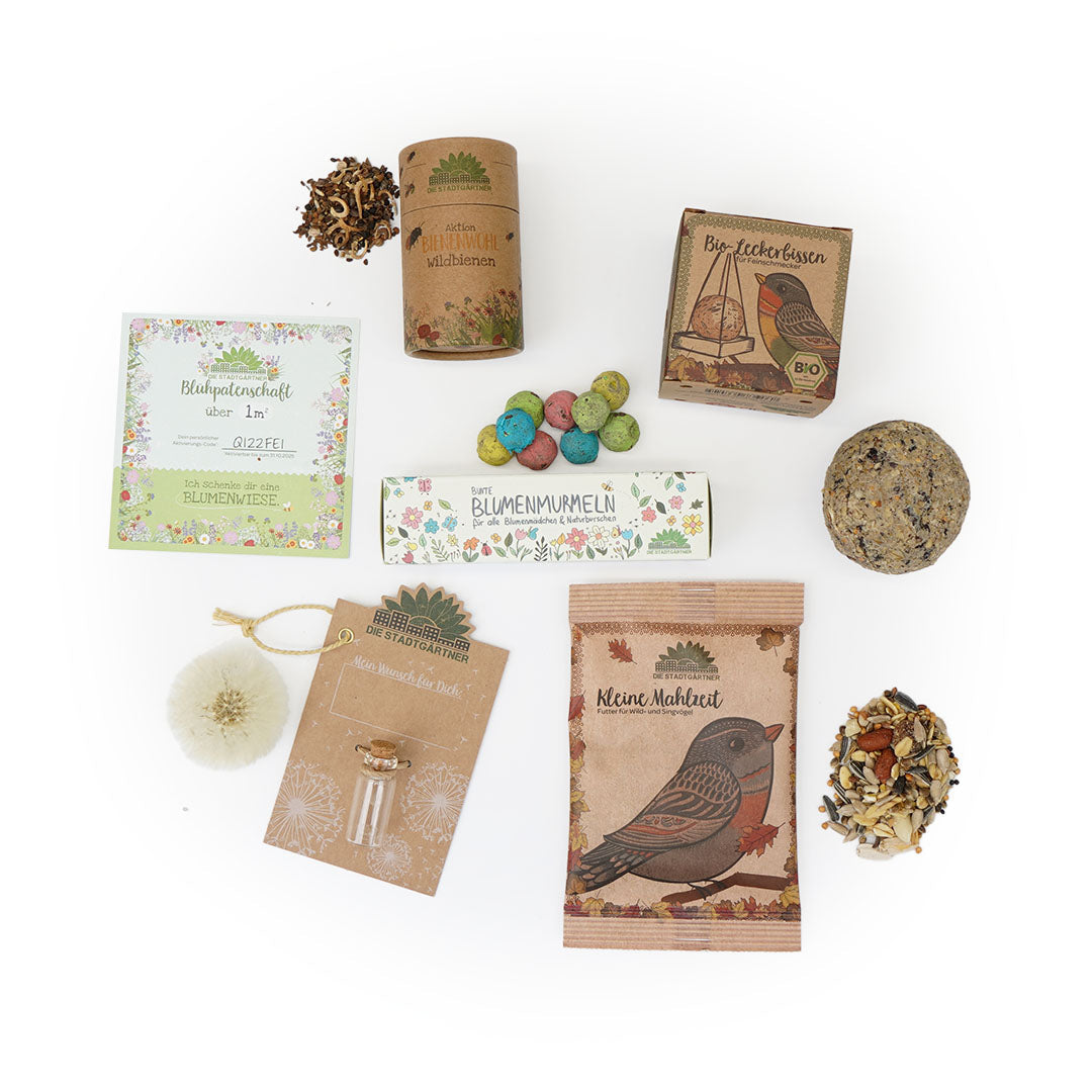 Sechs kleine Naturgeschenke als Set für den Adventskalender